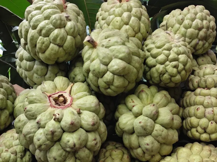 Valor-Nutricional-de-la-Cherimoya