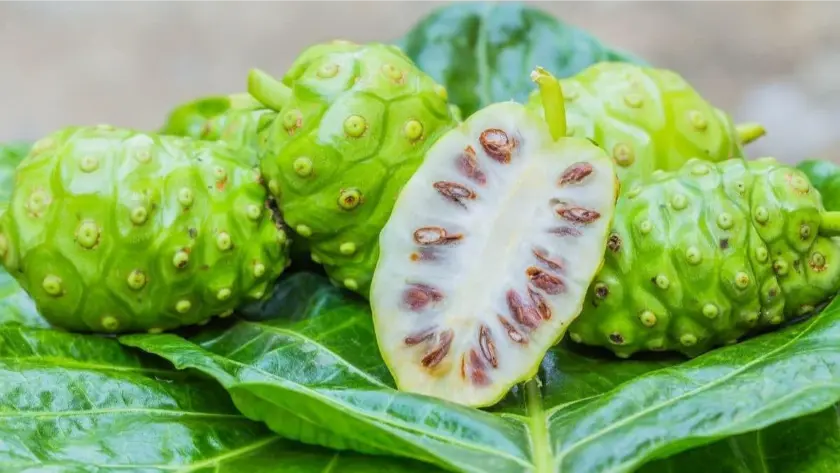 Valor-Nutricional-del-Noni