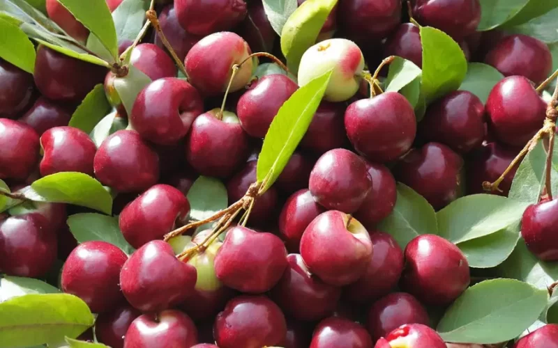 Valor-Nutricional-de-la-Cereza