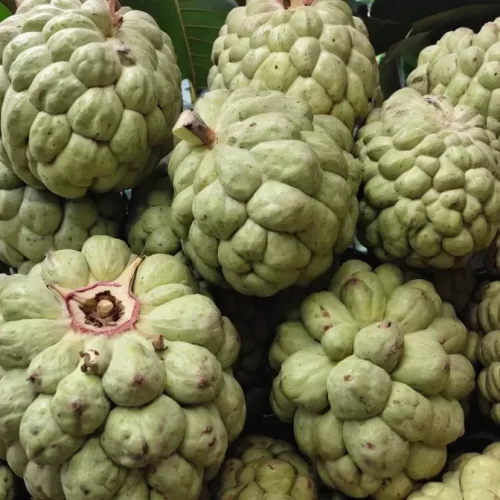 Valor-Nutricional-de-la-Cherimoya