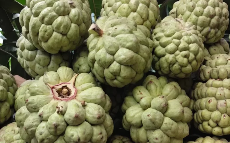 Valor-Nutricional-de-la-Cherimoya