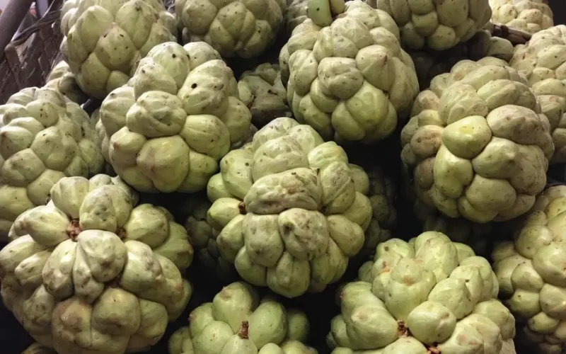 Valor-Nutricional-de-la-Chirimoya