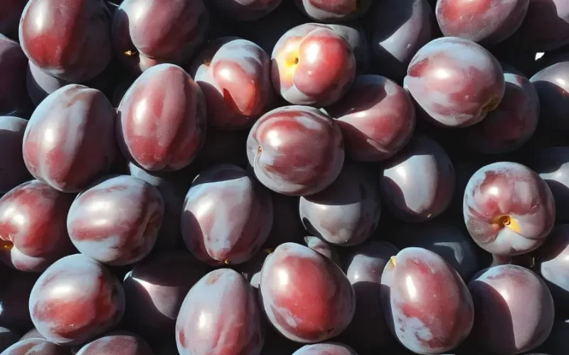 Valor-Nutricional-de-la-Ciruela