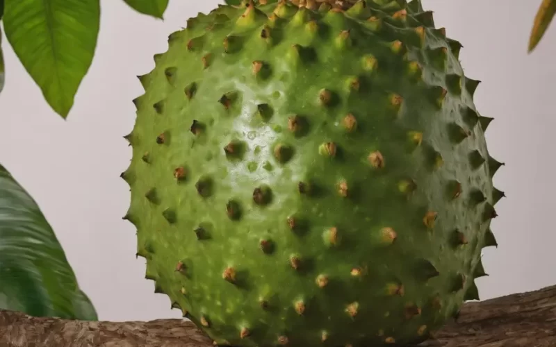 Valor-Nutricional-de-la-Guanabana