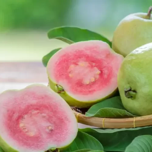 Valor-Nutricional-de-la-Guayaba-Rosa