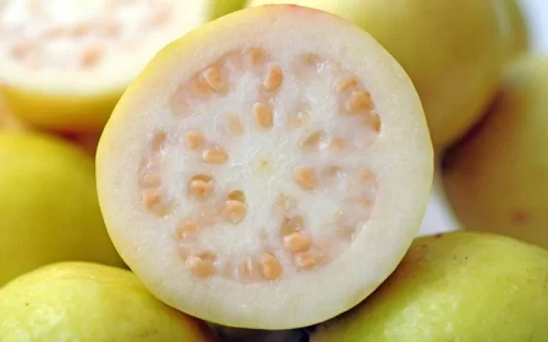 Valor-Nutricional-de-la-Guayaba-blanca