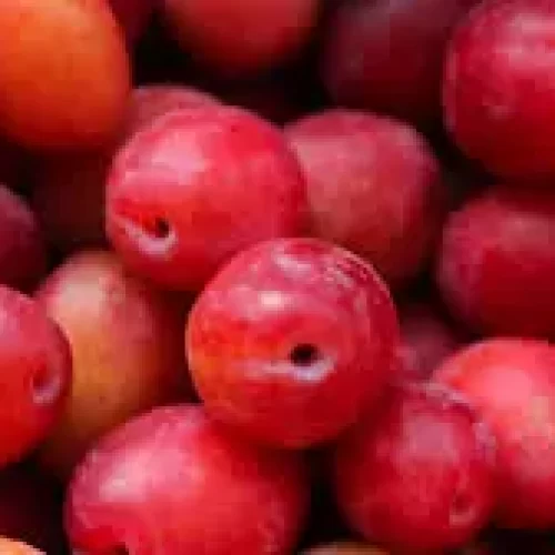 Valor-Nutricional-de-la-Pequena-fruta-de-ciruela