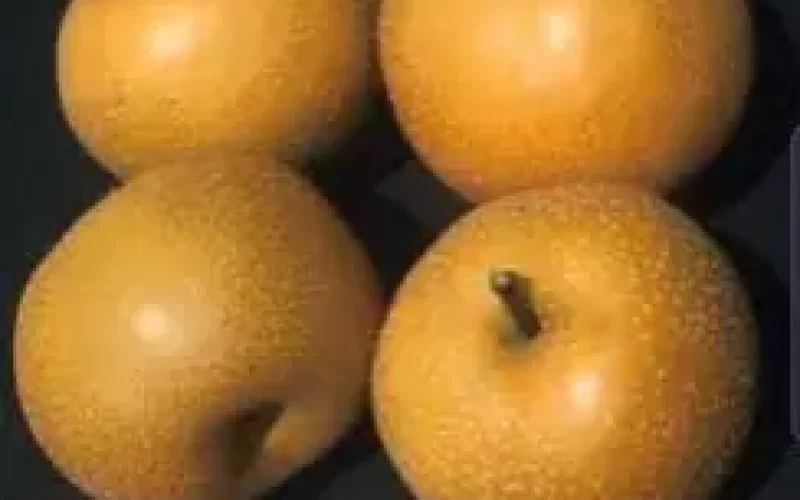 Valor-Nutricional-de-la-Pera-asiatica