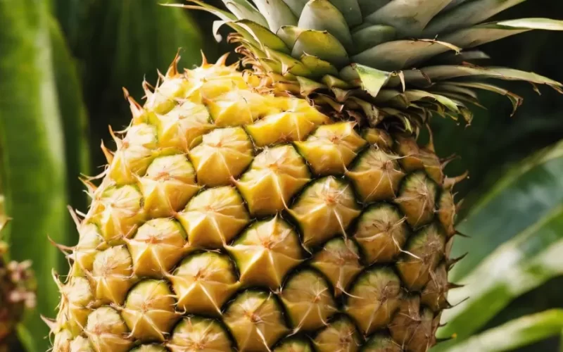 Valor-Nutricional-de-la-Pina-Anana