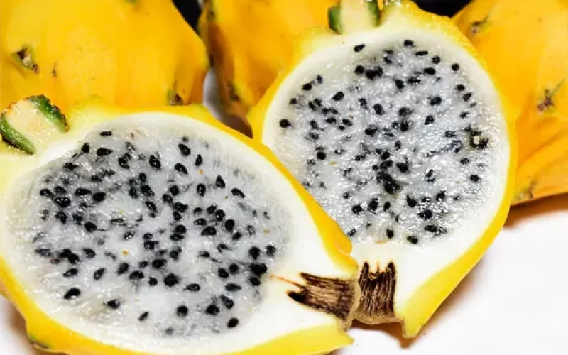 Valor-Nutricional-de-la-Pitahaya-amarilla