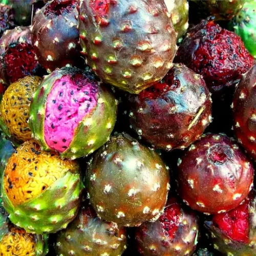 Valor-Nutricional-de-la-Pitahaya-fruta-de-cactus