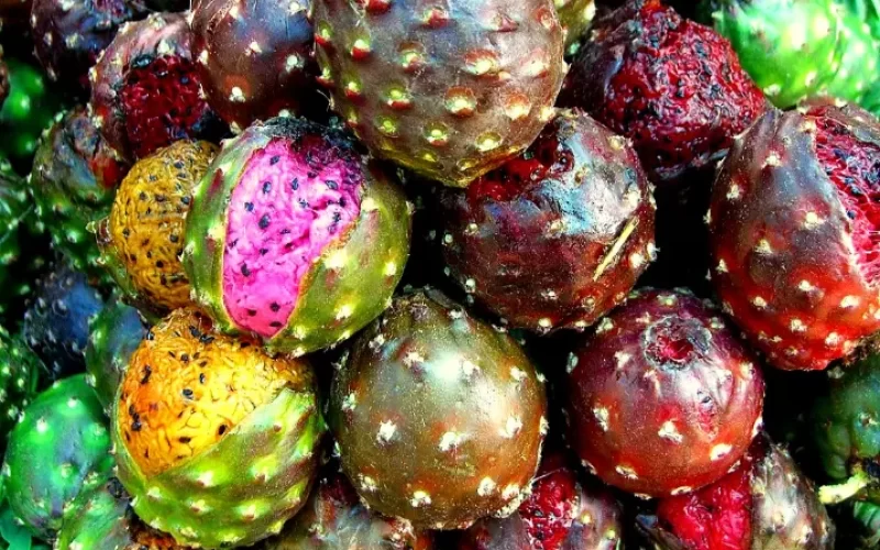 Valor-Nutricional-de-la-Pitahaya-fruta-de-cactus