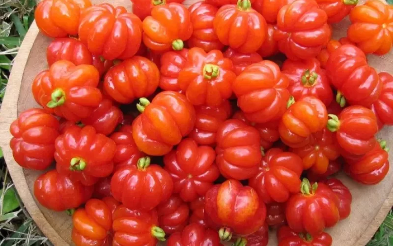 Valor-Nutricional-de-la-Pitanga