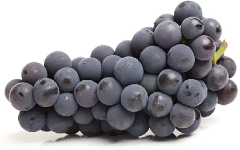 Valor-Nutricional-de-la-Uva-negra