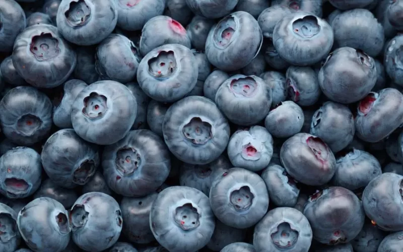 Valor-Nutricional-de-los-Arandanos