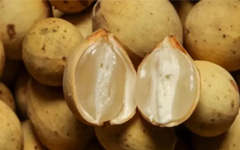 Valor-Nutricional-del-Duku