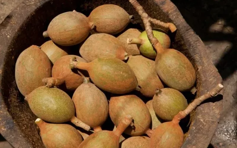 Valor-Nutricional-del-Huito