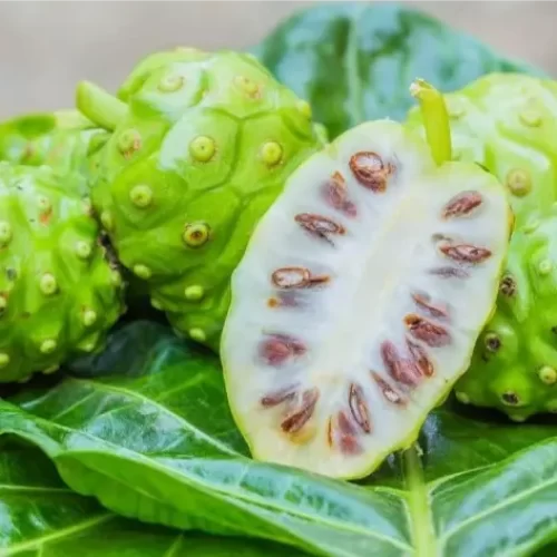 Valor-Nutricional-del-Noni