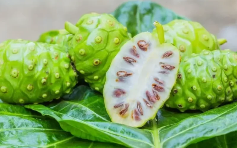 Valor-Nutricional-del-Noni