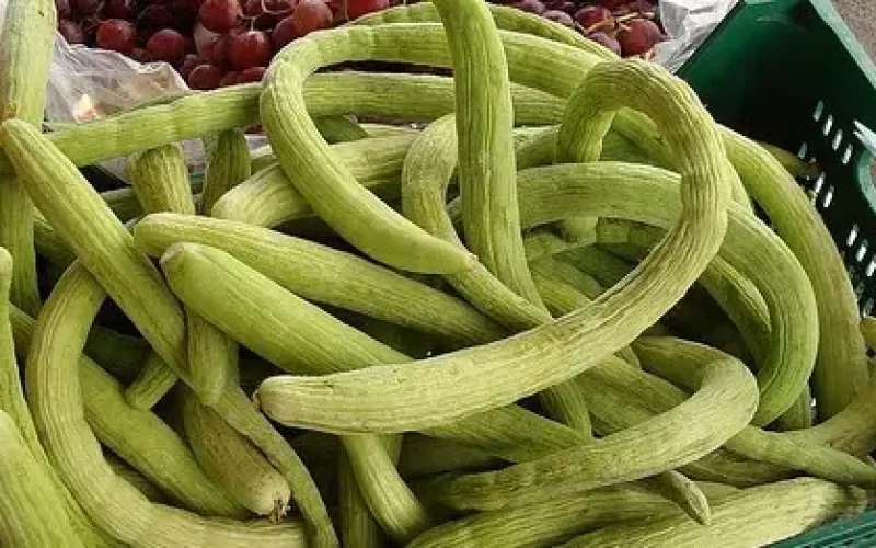 Valor-Nutricional-del-Pepino-de-serpiente