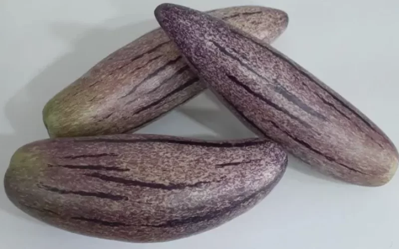 Valor-Nutricional-del-Pepino-dulce-Pepino-melon