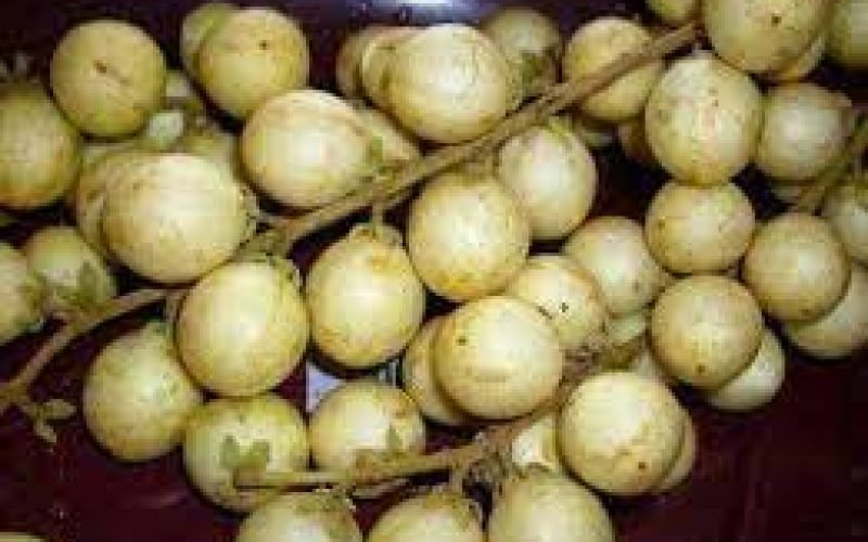 Valor-Nutricional-del-Rambai