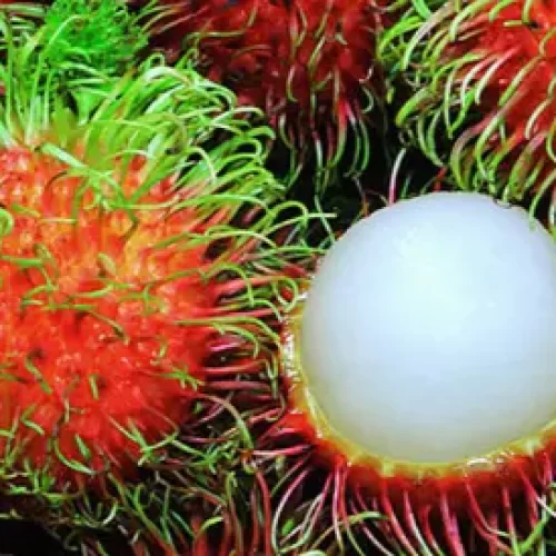 Valor-Nutricional-del-Rambutan