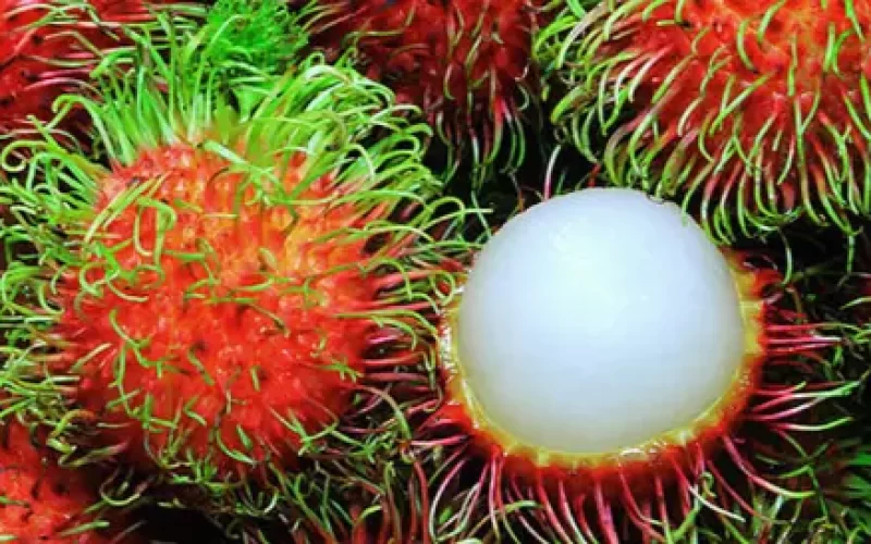 Valor-Nutricional-del-Rambutan
