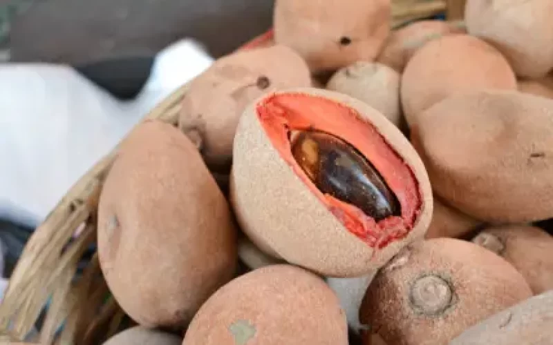 Valor-Nutricional-del-Sapote-negro-Mamey-sapote