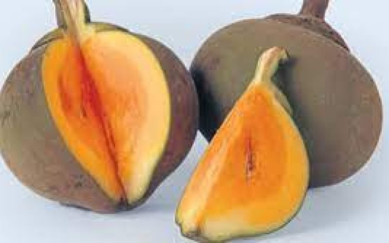 Valor-Nutricional-del-Zapote